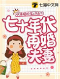 重生七十年代再婚夫妻小说